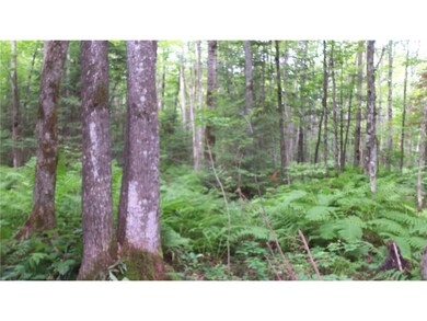 90 Acres Krnstead Rd, Mellen, WI 54546 - photo 5