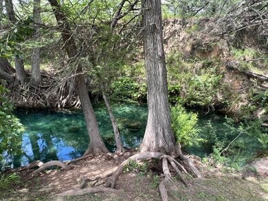 82 Private Road 3800, Utopia, TX 78884 - photo 7