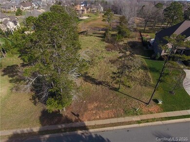 10032 Strike the Gold Ln unit 195, Waxhaw, NC 28173 - photo 3