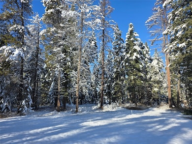 272/268 Moose Trail, Whitefish, MT 59937 - photo 7