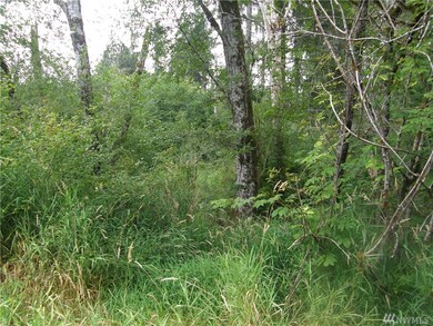 0 Elkhorn Rd, Raymond, WA 98577 - photo 3