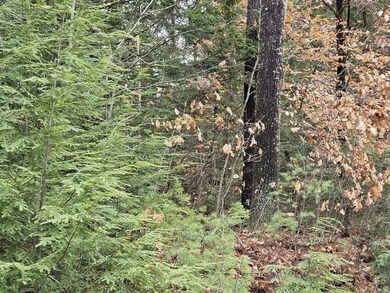 20251111_122542_result