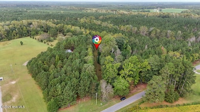 4.6 Ac Lee's Mill Rd, Gates, NC 27937 - photo 6