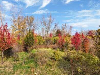 306 Algonquin Rd, South Barrington, IL 60010 - photo 4