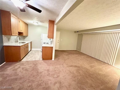 16445 Heather Ln, Middleburg Heights, OH 44130 - photo 4