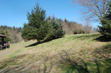 Upper yard looking north