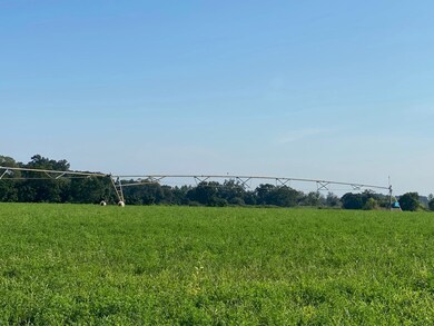 0 Russell Rd, Bristol, GA 31518 - photo 4