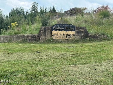 TBD Walton Ridge Rd, Bristol, VA 24202 - photo 3