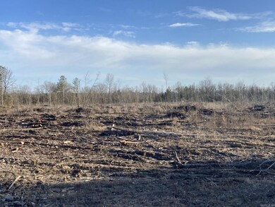 0 Ozan C unit 24032575, Ozan, AR 71855 - photo 4