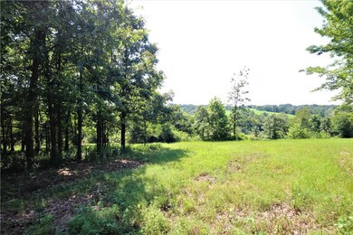 52.36 Acres Butler Rd, Siloam Springs, AR 72761 - photo 3