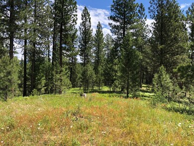 One of The Nicest Wooded Lots in Whispering Pines