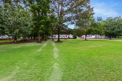 HUGE front yard!