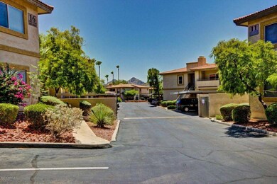 Cave Creek  #2108 (6)