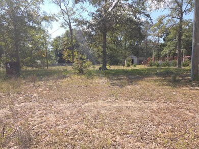 147 Podium Rd, Cordova, SC 29039 - photo 3