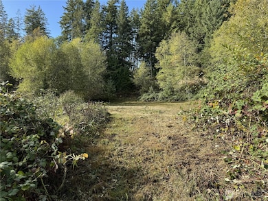 Top of 1st trail, to clearing.