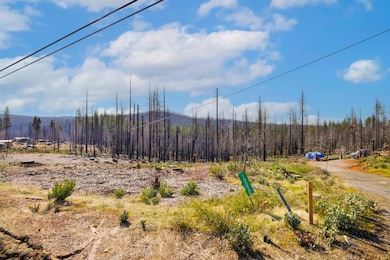 10020- Grizzly Flat Rd, Grizzly Flats, CA 95636 - photo 2
