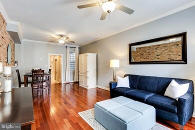 3215 Elliott St, Baltimore, MD 21224 - photo 3