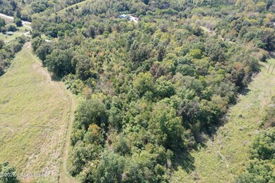 2450 Ashes Creek Rd, Bloomfield, KY 40008 - photo 3