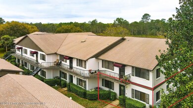 6701 River Run Blvd drone (1 of 27)- WIT