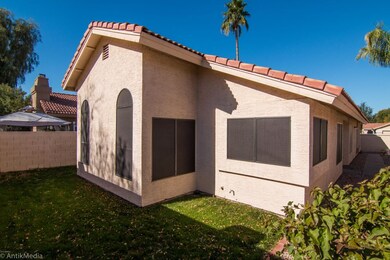 Grass / Solar Screens