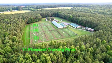 19003 Comans Well Rd, Yale, VA 23897 - photo 5