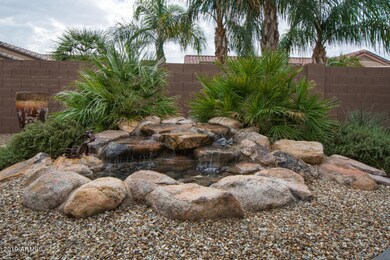Water Feature