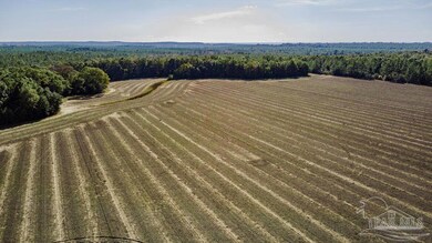 1A Segrest Rd, Chumuckla, FL 32571 - photo 6