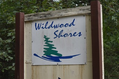 6 Lily Cove, Huntsville, TX 77340 - photo 4