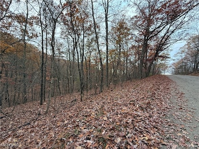 2400 Irish Ridge Rd, Philo, OH 43771 - photo 2