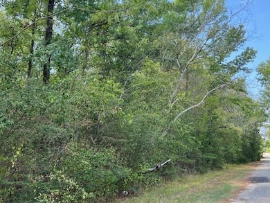 97825 TR PT 117 Hursey St, Jasper, TX 75951 - photo 4