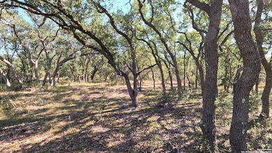 34672 Ansley Ridge Trail, Bulverde, TX 78163 - photo 6