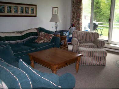 18 Tecumseh Townhouse, Waterville Valley, NH 03215 - photo 2