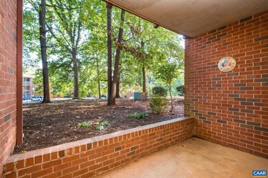 103 Turtle Creek Rd unit 3, Charlottesville, VA 22901 - photo 5