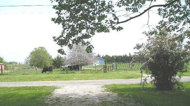 View across the road, Neighbor has cows