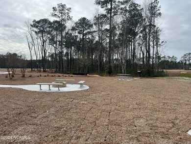 255 Glendale Arbor Dr SW unit 43, Ocean Isle Beach, NC 28469 - photo 5