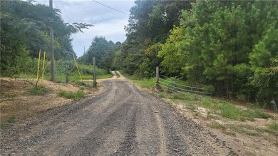 View of dirt / gravel road featuring a view of trees