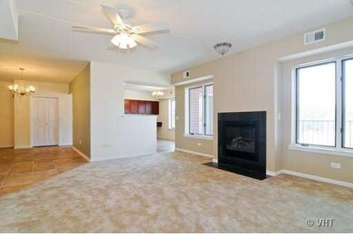 2321 183rd St unit 403, Homewood, IL 60430 - photo 6