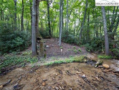 Lot 2 Wilderness Reserve Pkwy, Deep Gap, NC 28618 - photo 6