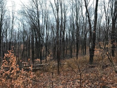 19312 Township Rd 284, Coshocton, OH 43812 - photo 3