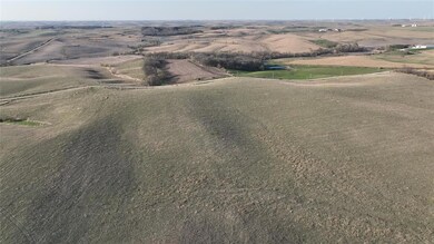 0000 335th St, Audubon, IA 50025 - photo 4