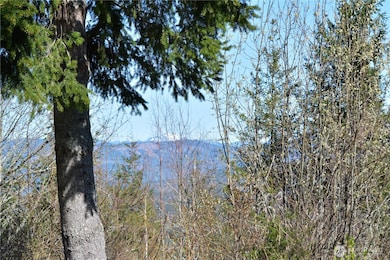 20 Academy Highlands, Bellingham, WA 98226 - photo 6