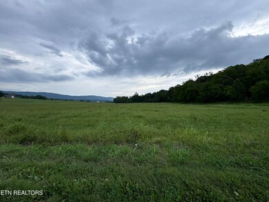 3 Rutledge Lot 3 Pike, Blaine, TN 37709 - photo 5