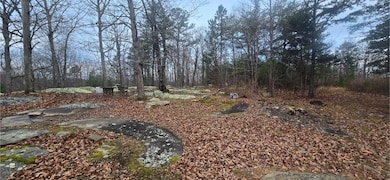 827 Dale Trail, Menlo, GA 30731 - photo 5