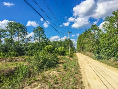 21051 Carter Rd, Estero, FL 33928 - photo 6