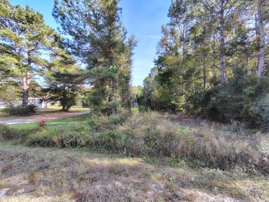 112 Tropicana Ct, Orangeburg, SC 29118 - photo 3