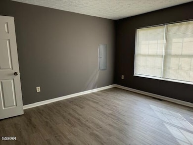 238 Gray Slate Cir, Sevierville, TN 37876 - photo 7