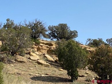 TBD U S 160, Cortez, CO 81321 - photo 6