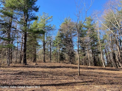 0 Thomas Rd, Claverack, NY 12521 - photo 6