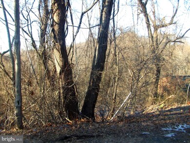 0 Cardinal Dr unit VAWR139136, Front Royal, VA 22630 - photo 5