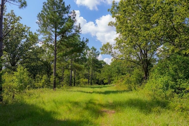 Gin Pond, Bluffton, GA 39824 - photo 2